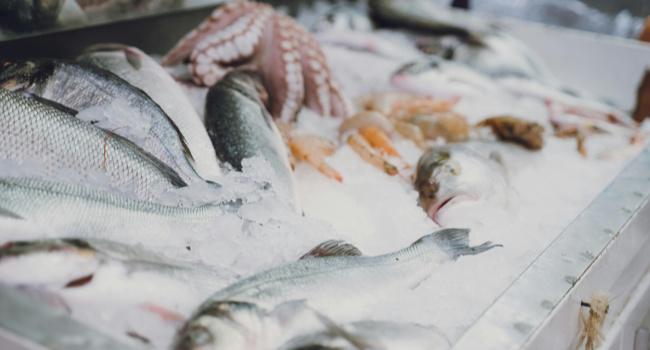 Transport ryb w Norwegii: prawo zmusza do łamania prawa